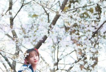 图库资源一键获取：Luisa_零纱的柴郡旗袍，让你每天都有新花样！
