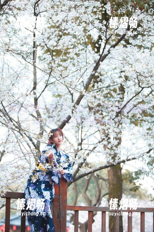 Luisa_零纱 图库资源一键获取:Luisa_零纱的柴郡旗袍,让你每天都有新花样!