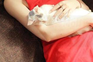 青豆客 – 逼近心跳，朱赢Molly水手服无圣光合集